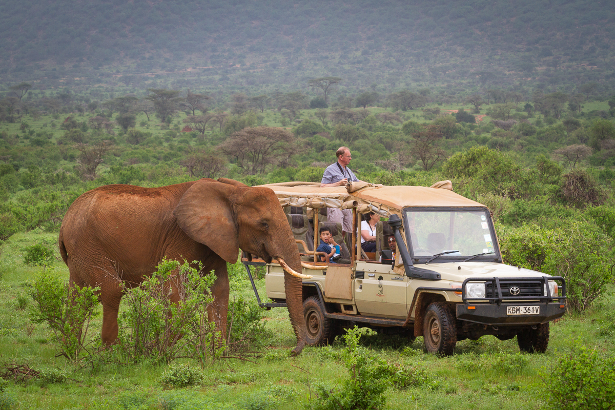 Advantages of booking with Joyventure Safaris Limited
